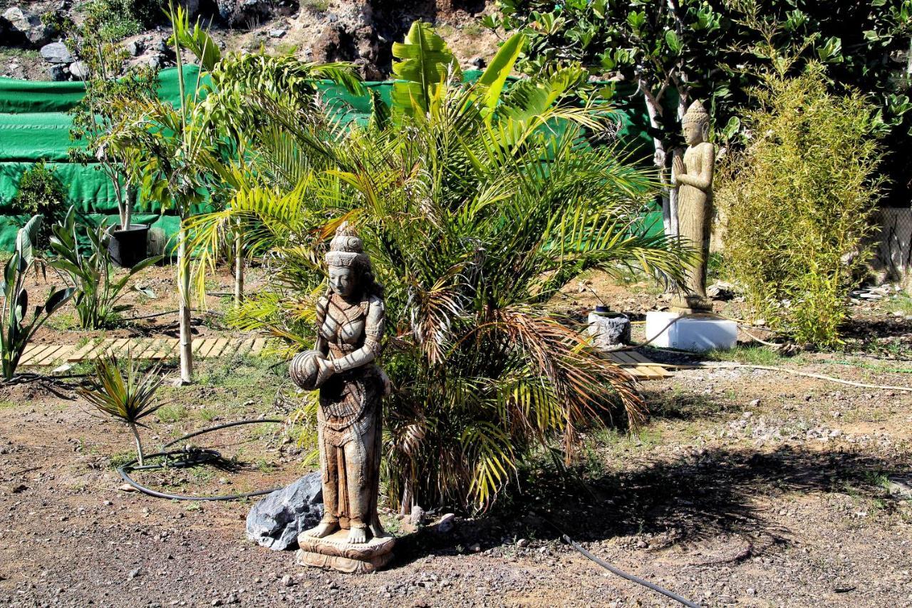 Finca Berolo 1 Guía de Isora Eksteriør bilde